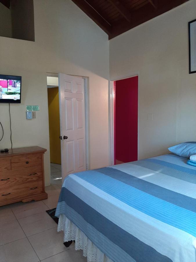 Dancehall Hostel Kingston Exterior foto